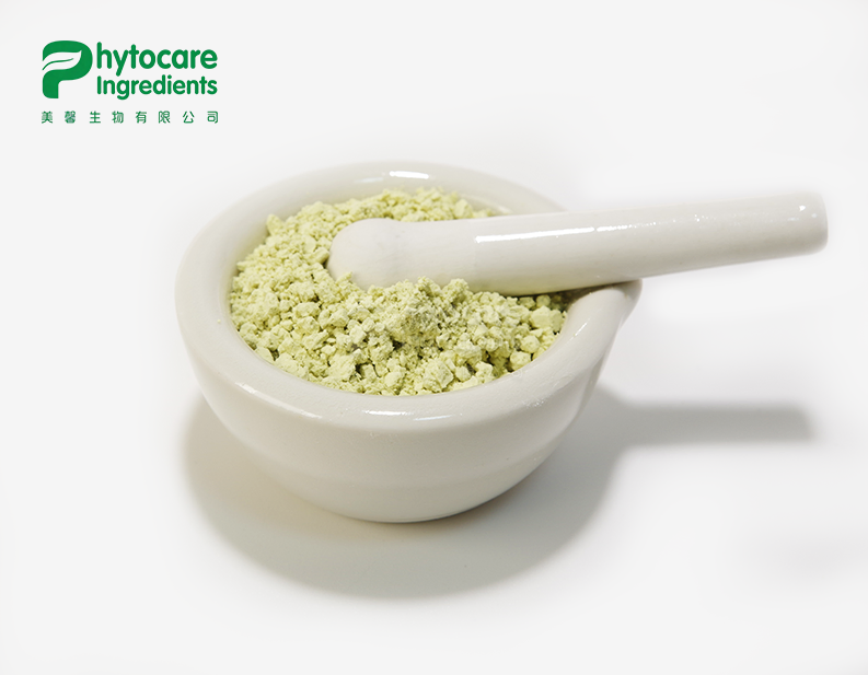 Pumpkin Seed Protein Powder